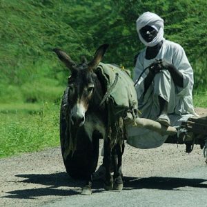 Proyecto fotográfico documental sobre África en la República del Chad.