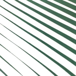 Fusión 02 | Acrílico sobre papel acuarela Arches, 76 x 56 cm. Miguel Ángel Lozano Bonora.