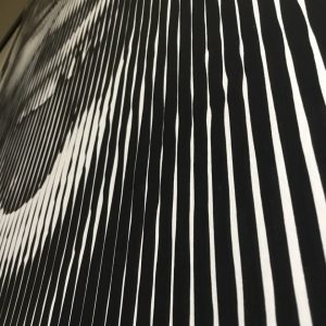 Tyson | Acrílico sobre papel acuarela Arches, 100 x 70 cm. Miguel Ángel Lozano Bonora.